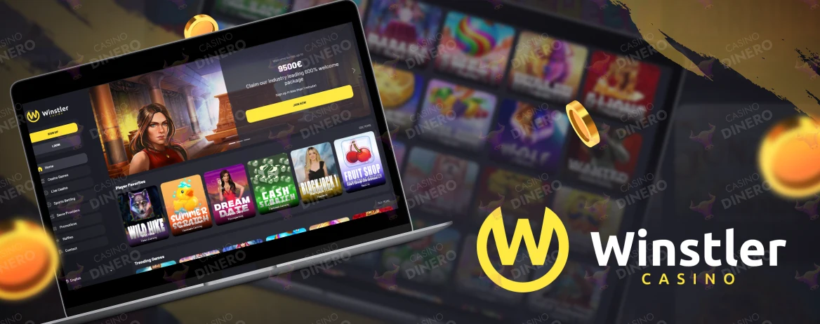 Licencia y seguridad de Winstler